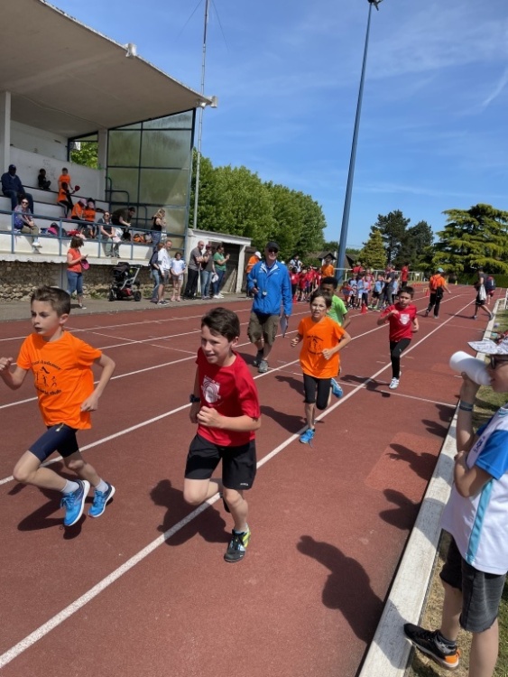 2022 éveils et poussins 2022 éveils et poussins