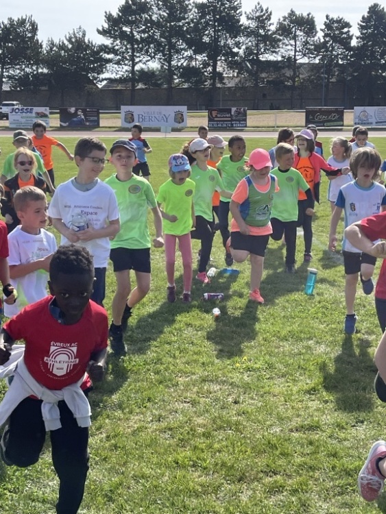 2022 éveils et poussins 2022 éveils et poussins