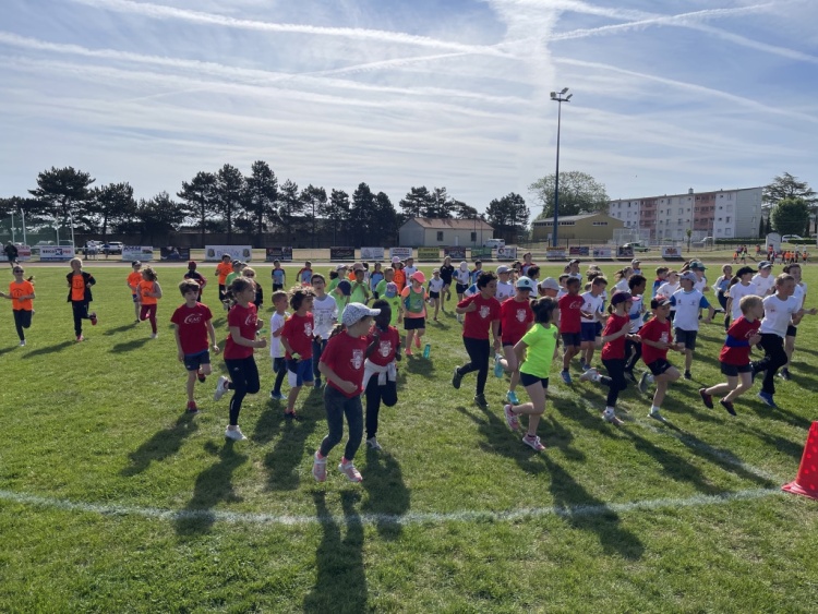 2022 éveils et poussins 2022 éveils et poussins