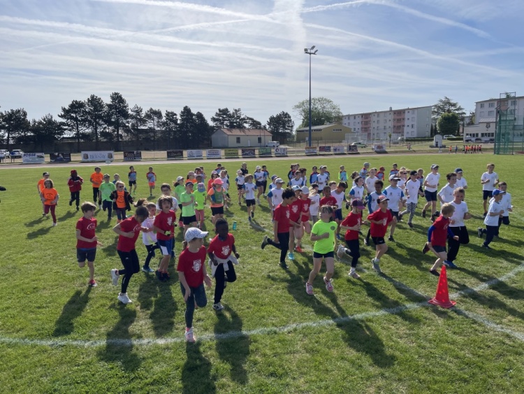 2022 éveils et poussins 2022 éveils et poussins